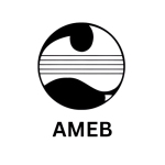 AMEB-removebg-preview